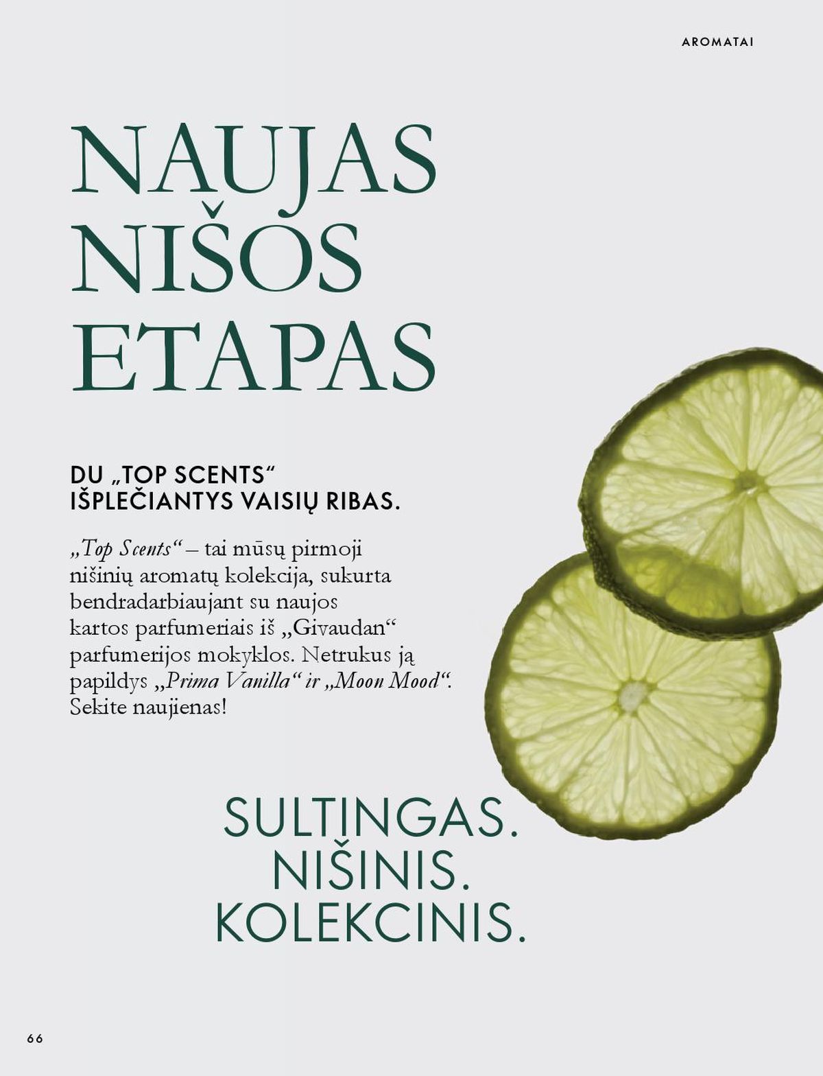 Leidinio nuotrauka