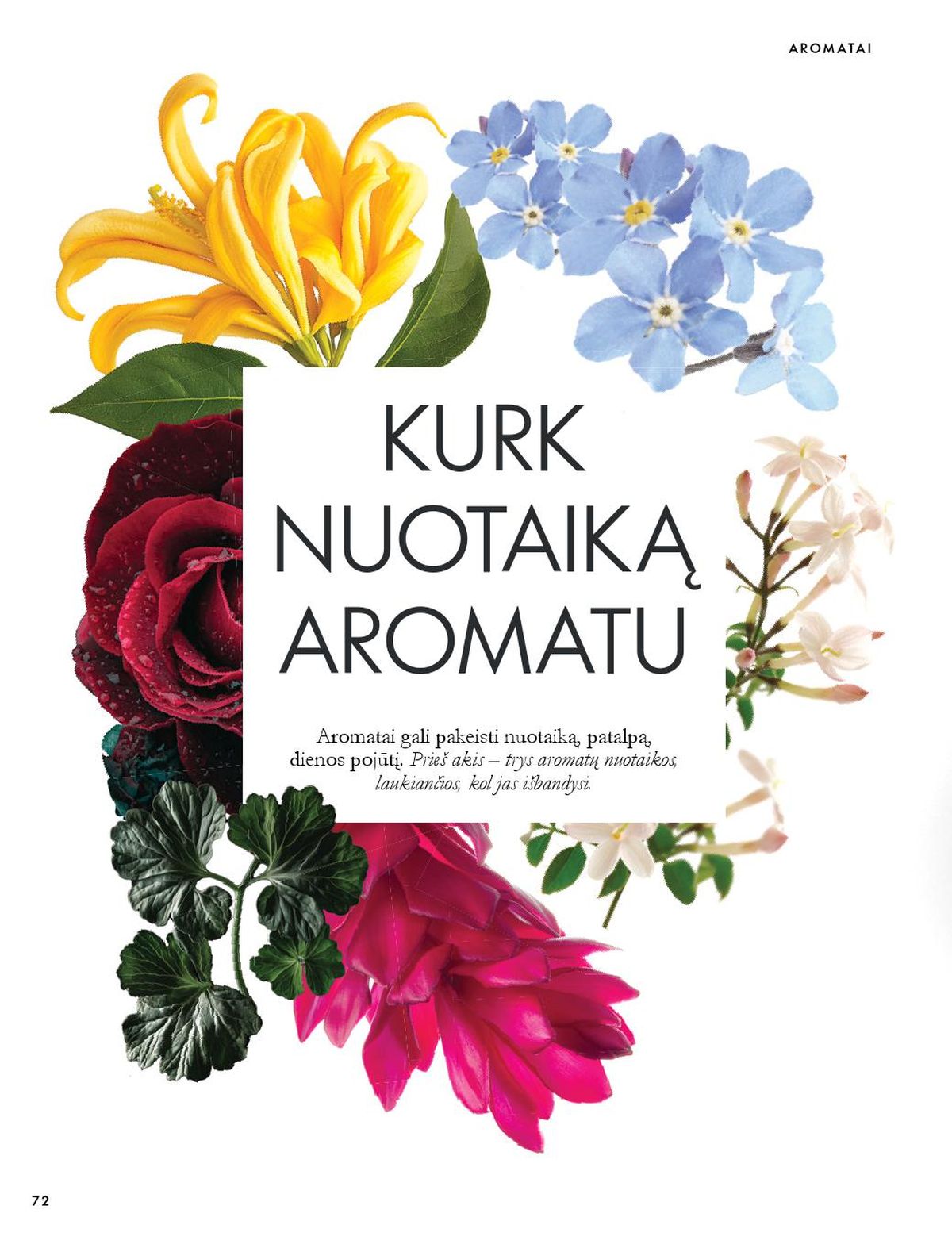 Leidinio nuotrauka