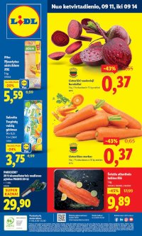 LIDL - Maisto prekių pasiūlymai (2025 09 11 - 2025 09 14) - Leidinio nuotrauka