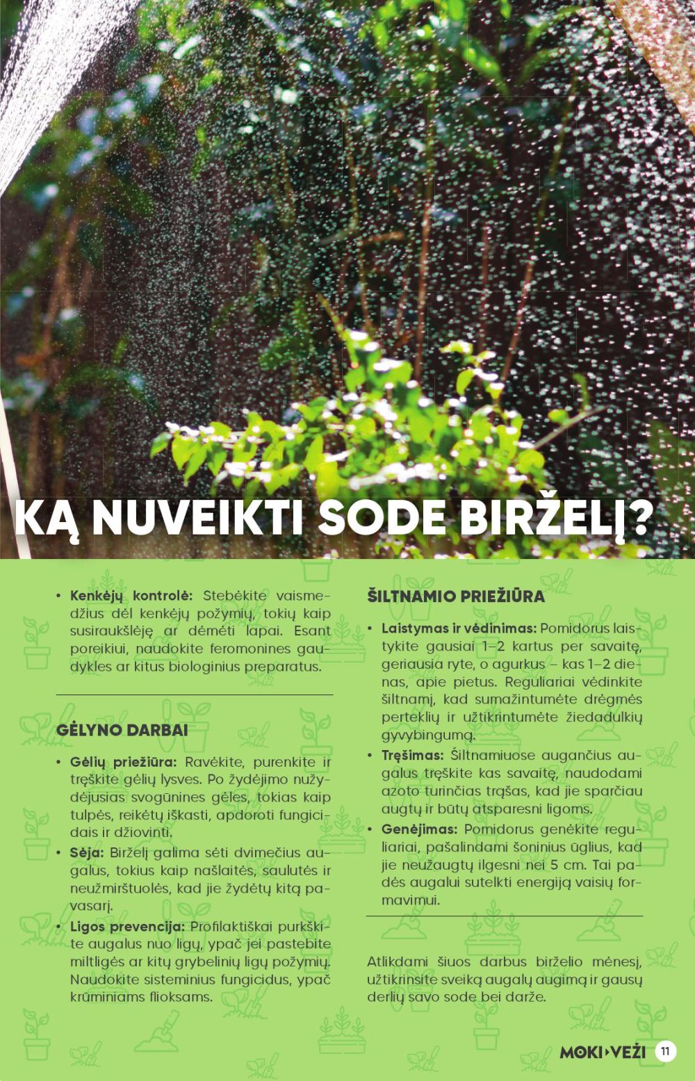 Leidinio nuotrauka