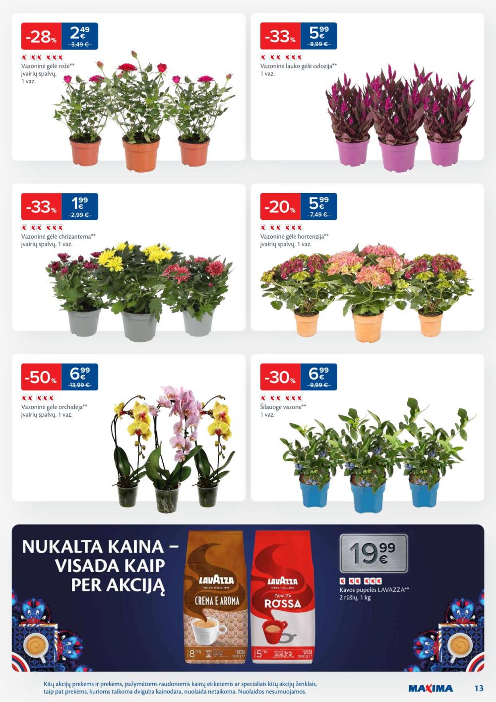 Leidinio nuotrauka