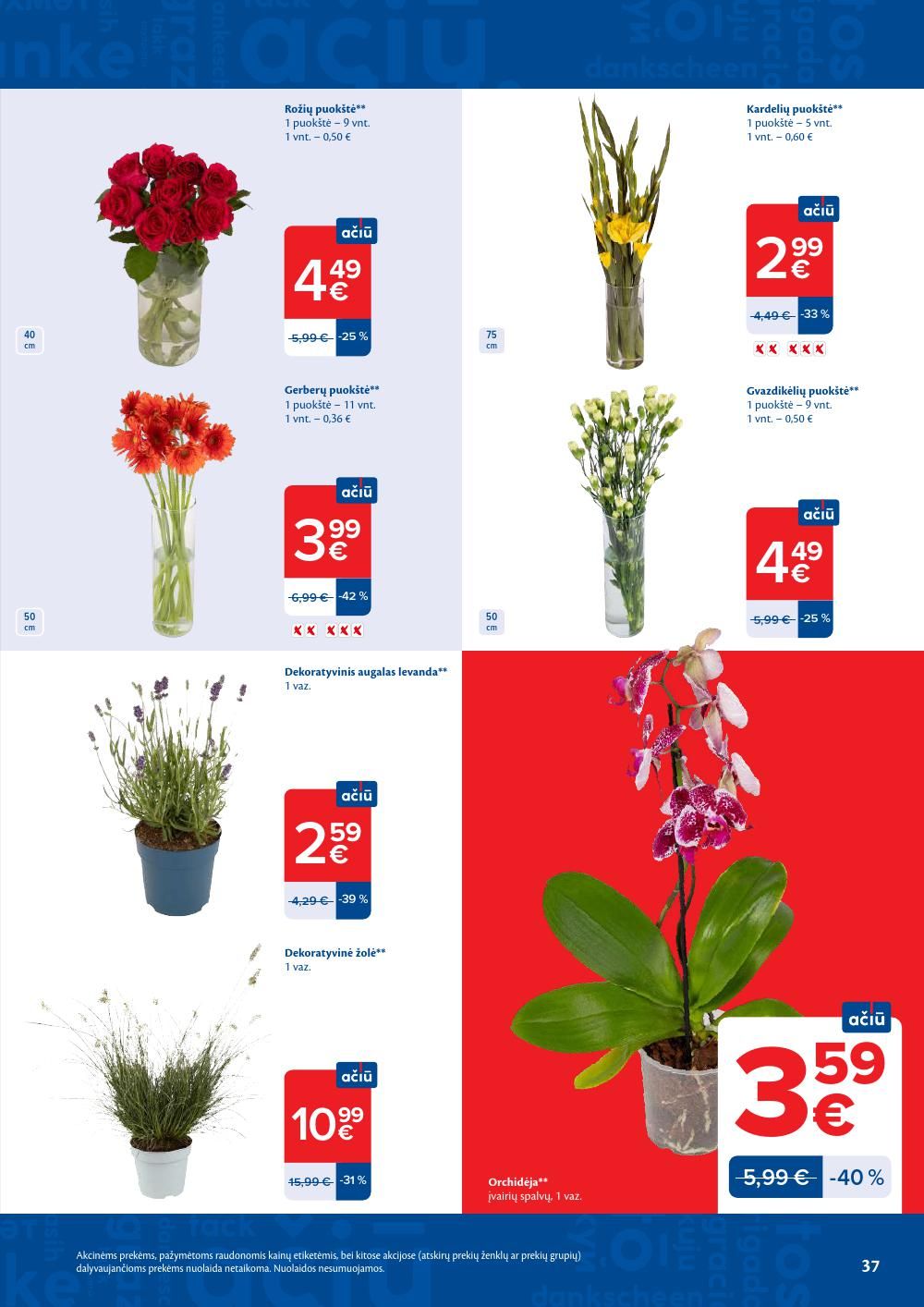 Leidinio nuotrauka