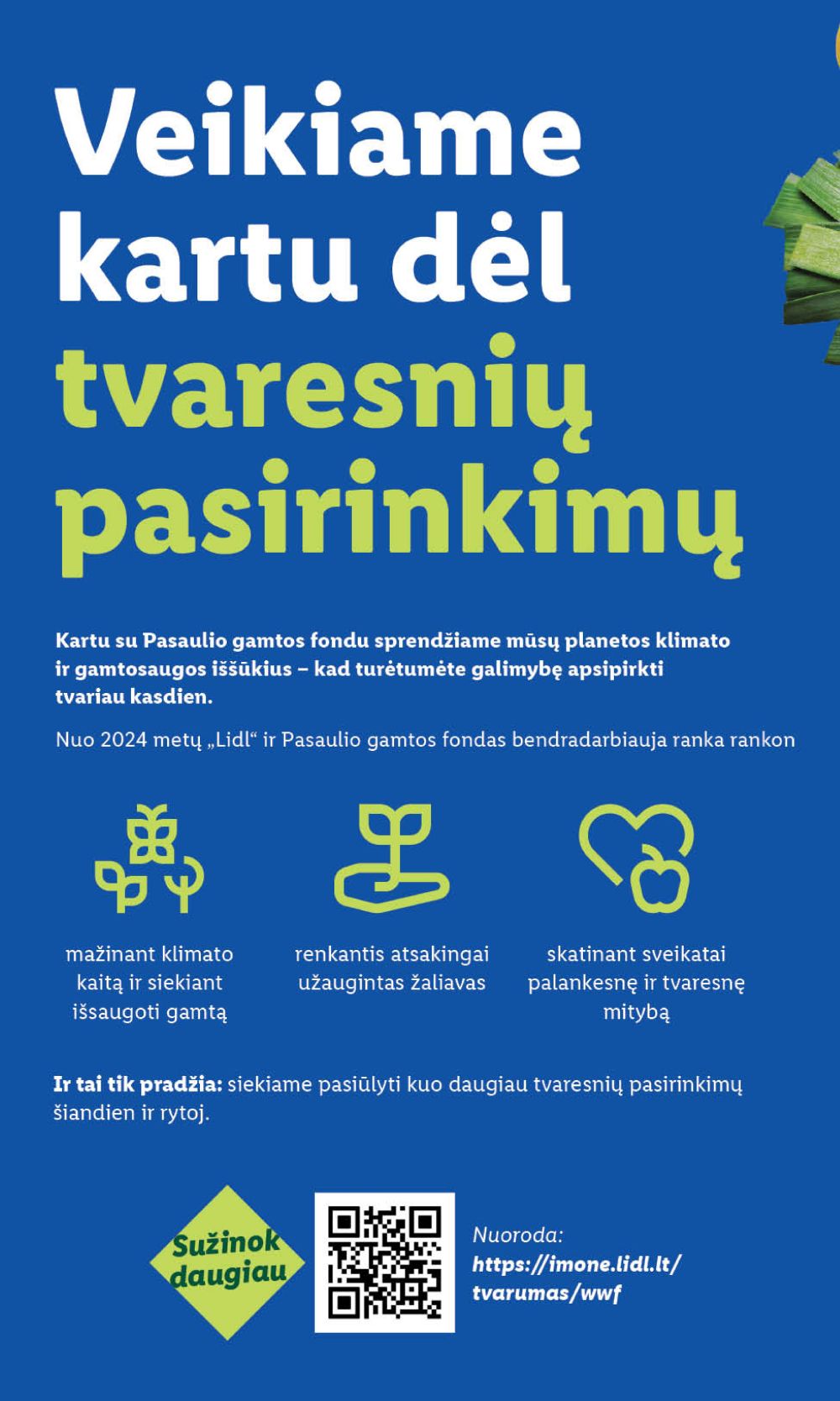 Leidinio nuotrauka