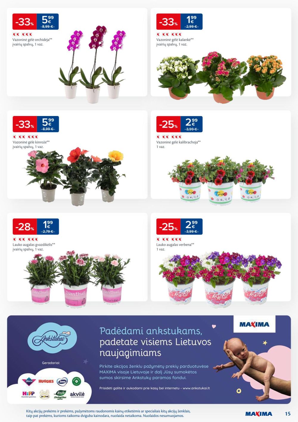 Leidinio nuotrauka