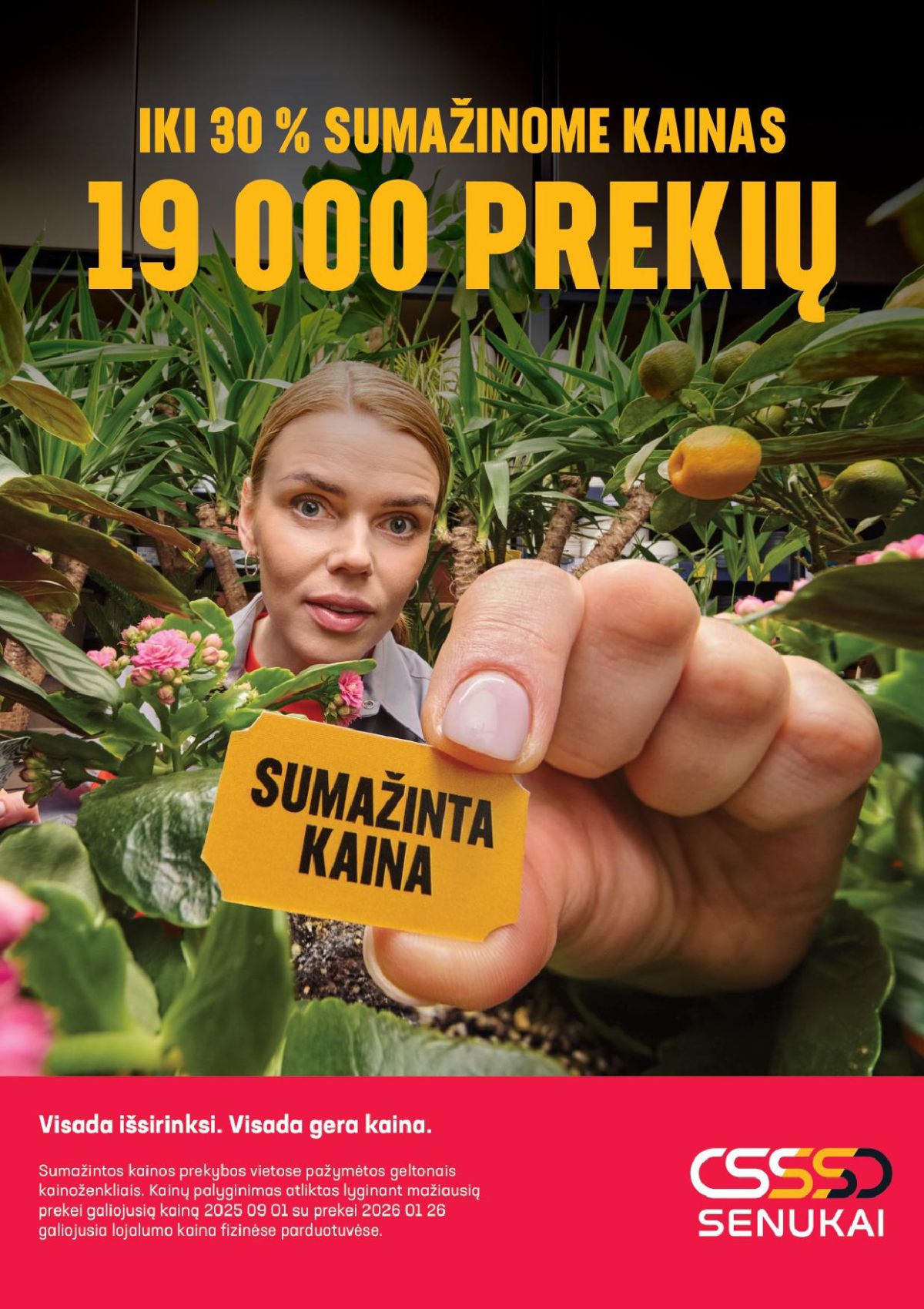 Leidinio nuotrauka
