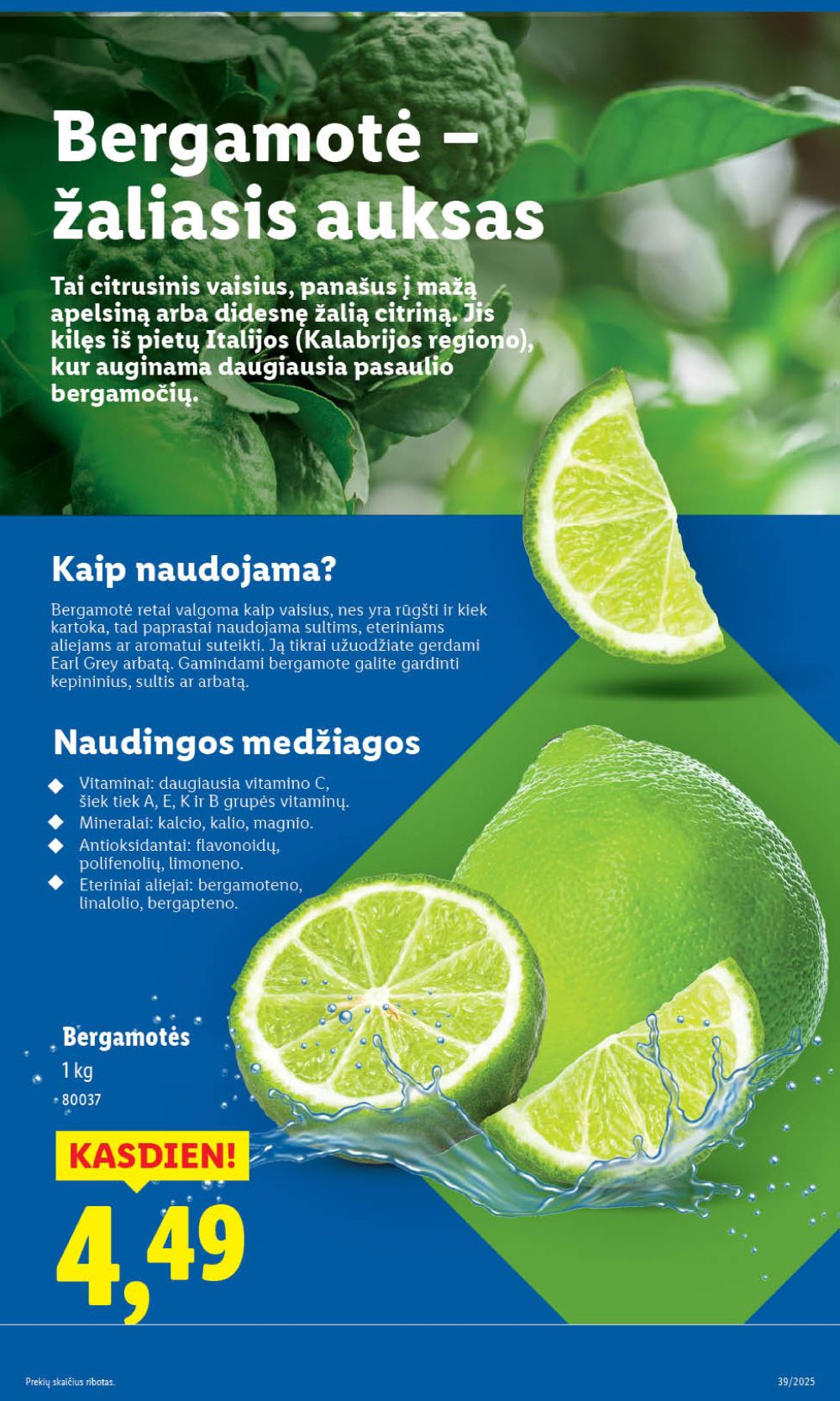 Leidinio nuotrauka