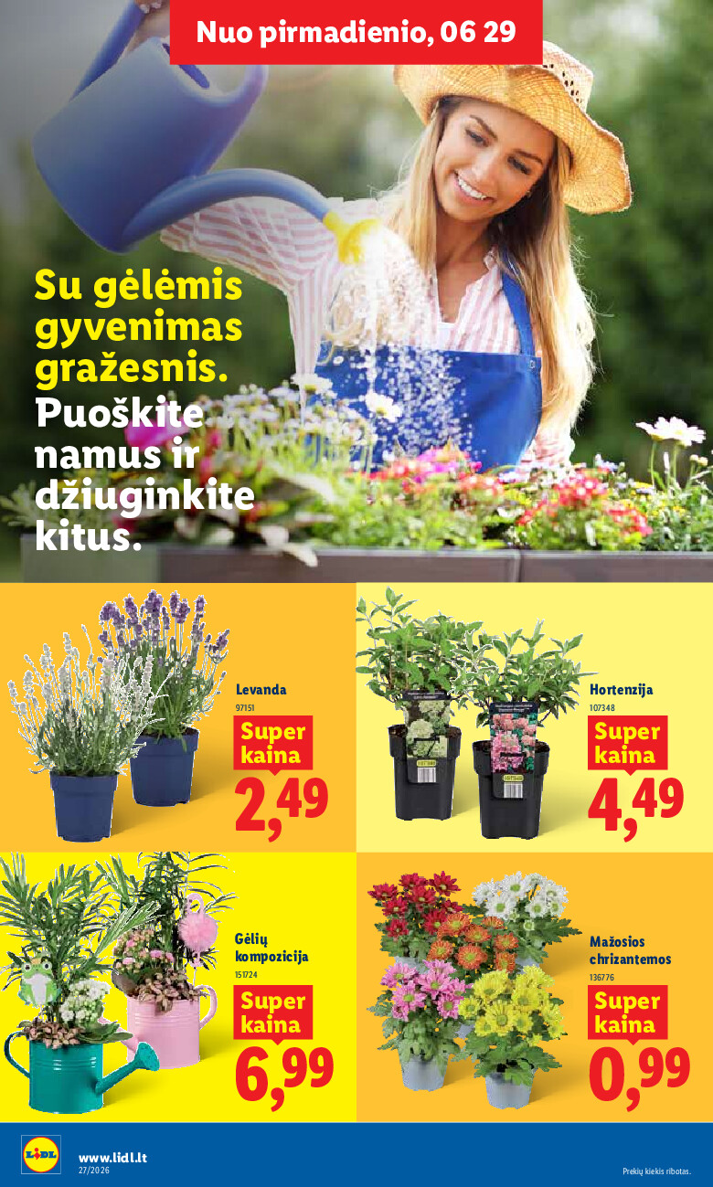 Leidinio nuotrauka