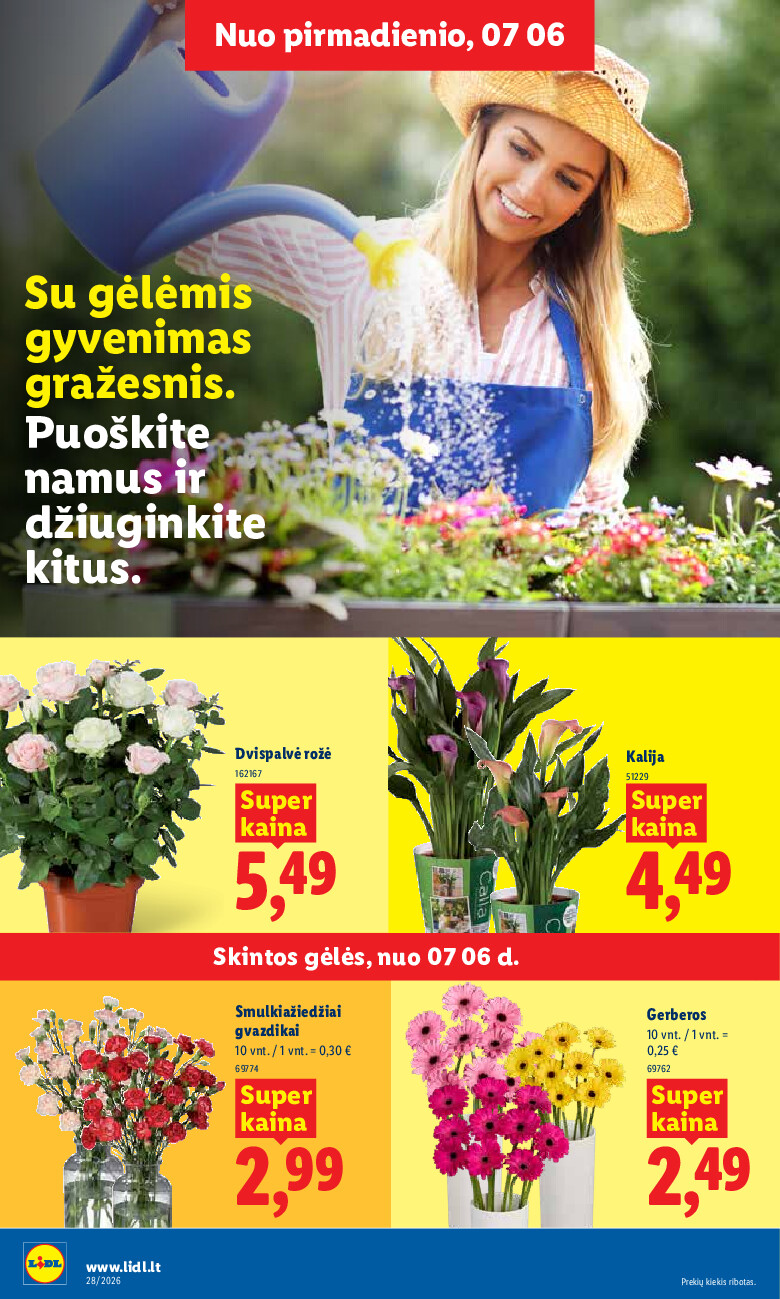 Leidinio nuotrauka