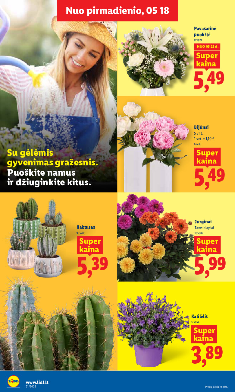 Leidinio nuotrauka