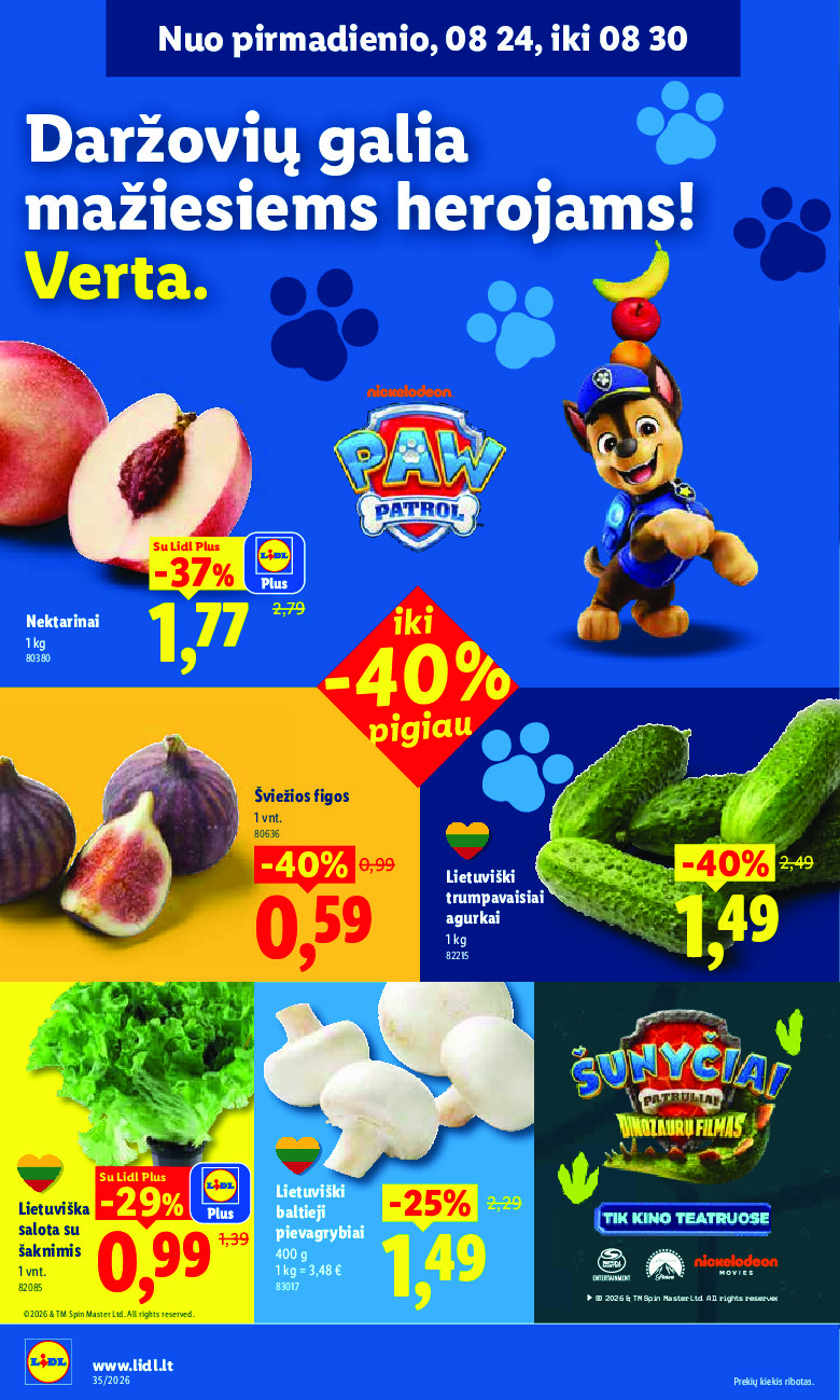Leidinio nuotrauka