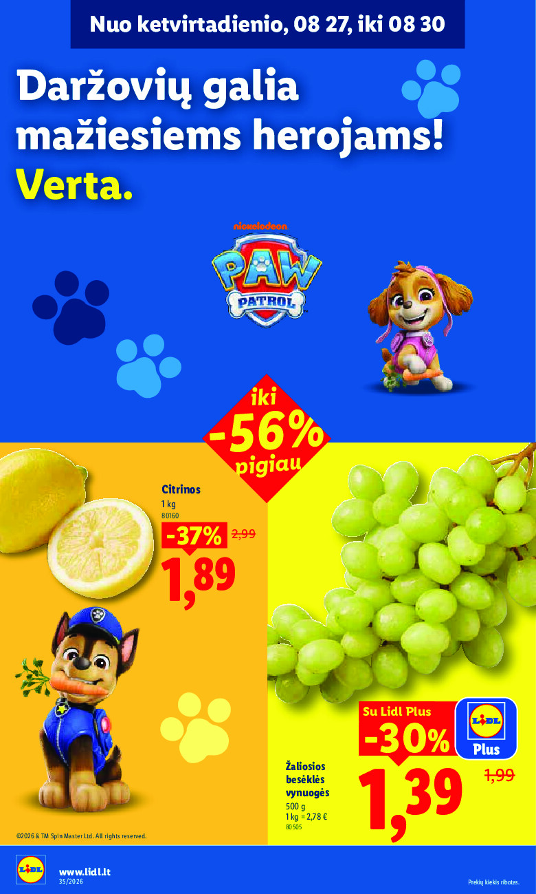 Leidinio nuotrauka