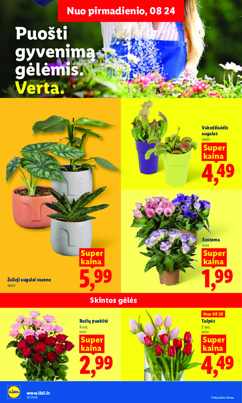 Leidinio nuotrauka