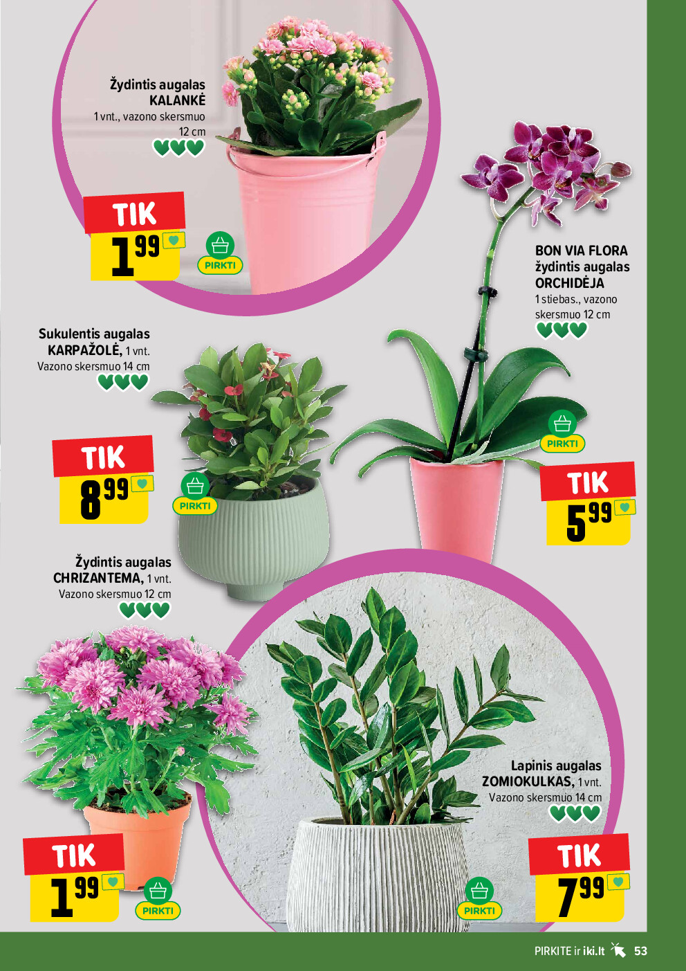 Leidinio nuotrauka
