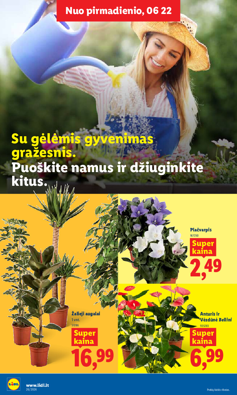 Leidinio nuotrauka