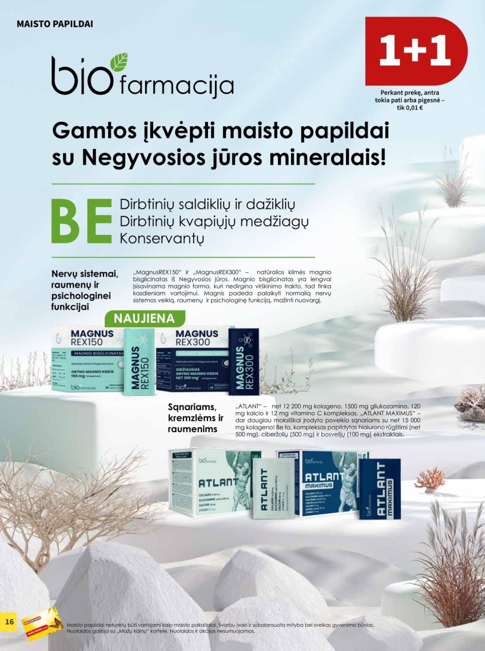 Leidinio nuotrauka
